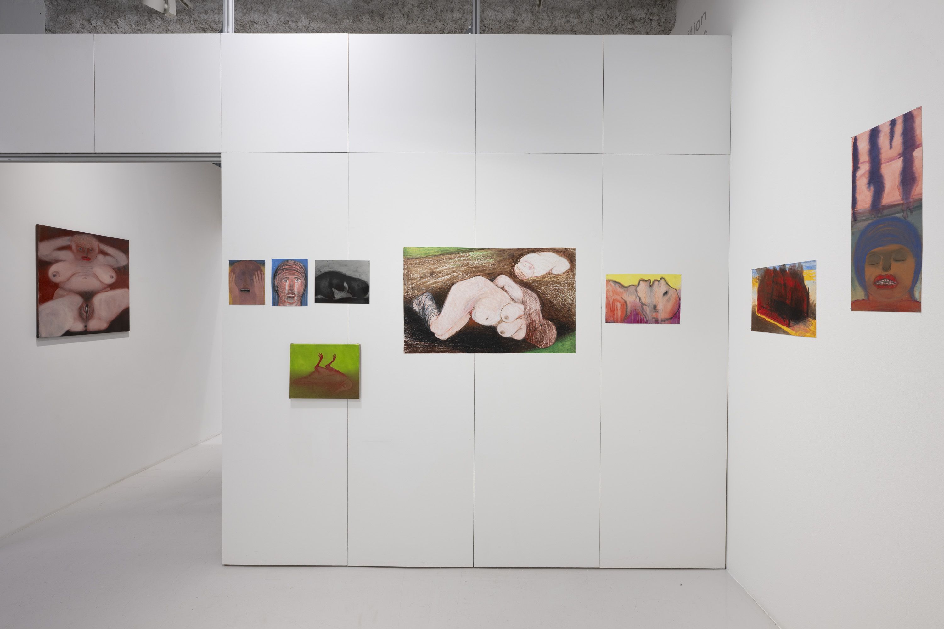 Miriam Cahn, Devoir-Pleurer at Jocelyn Wolff, photo 8