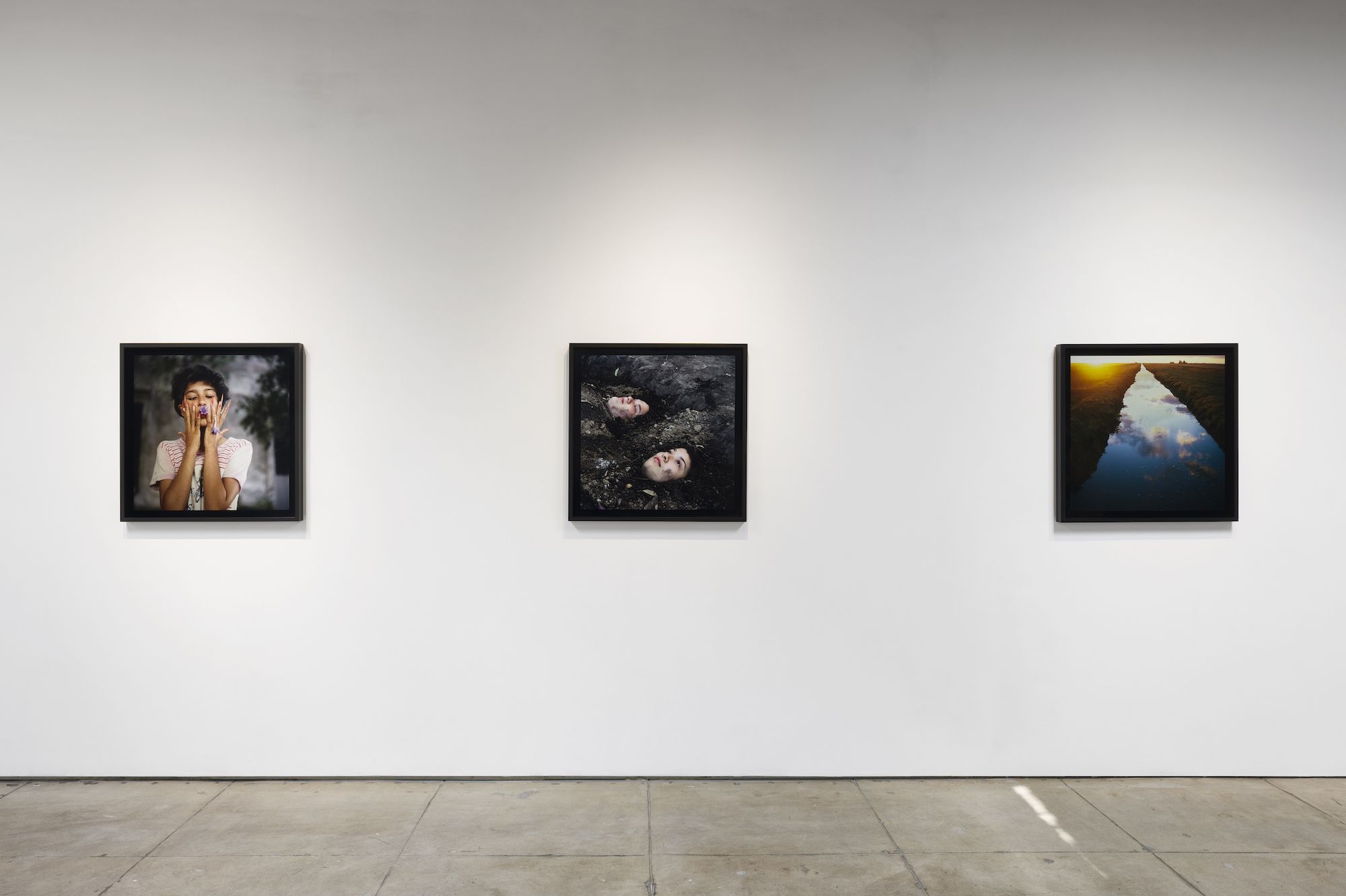Alessandra Sanguinetti, The Sixth Day at Webber, photo 4