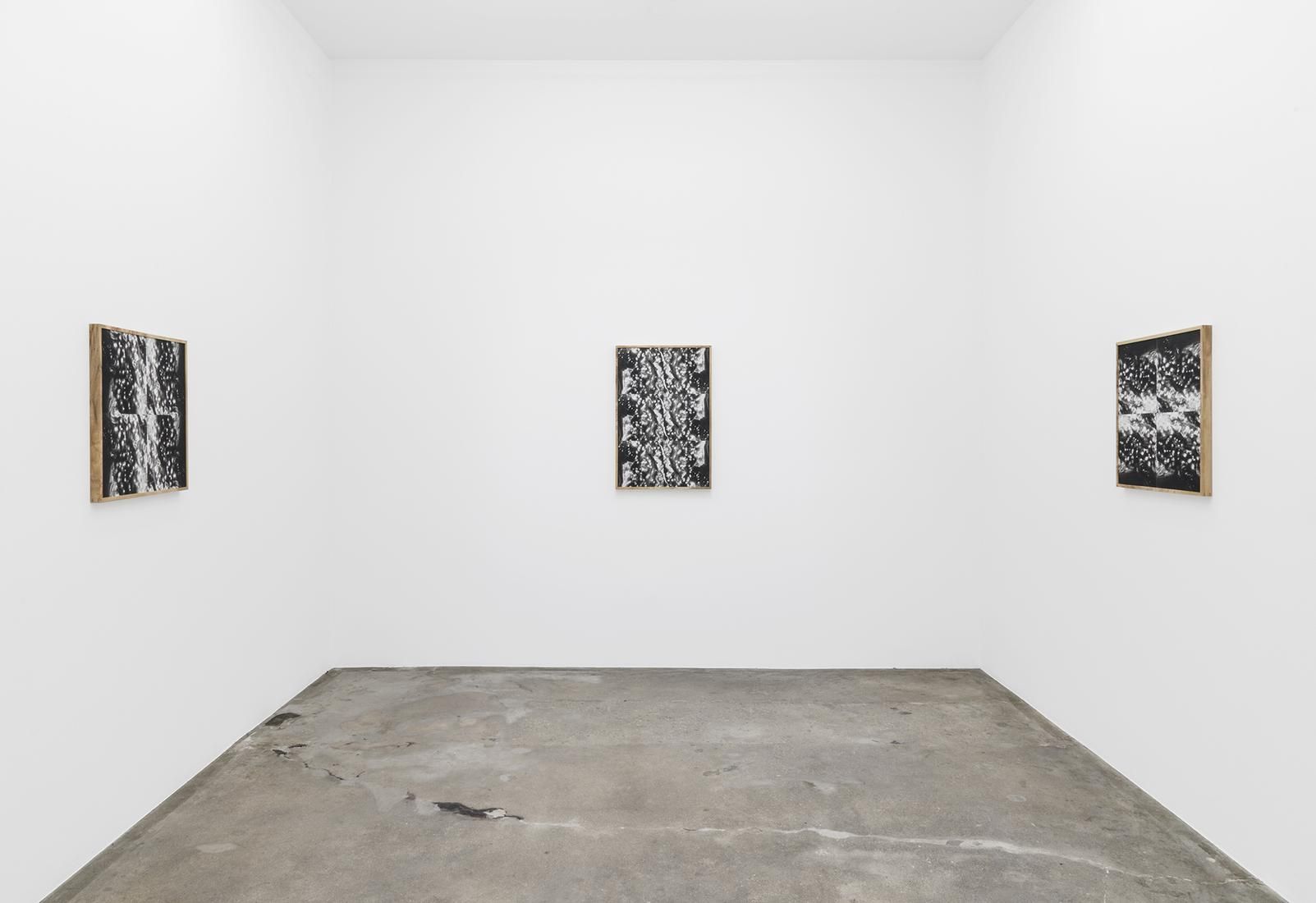 Lisa Oppenheim, The Eternal Substitute at Tanya Bonakdar, photo 4