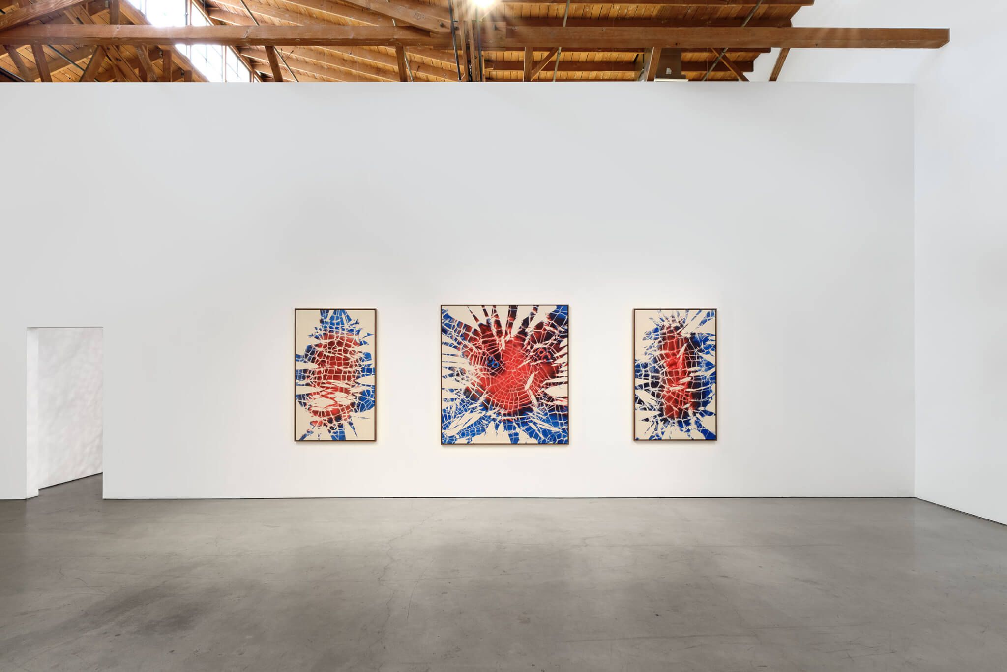 Maia Ruth Lee, Hold Shimmer Wind at François Ghebaly, photo 6