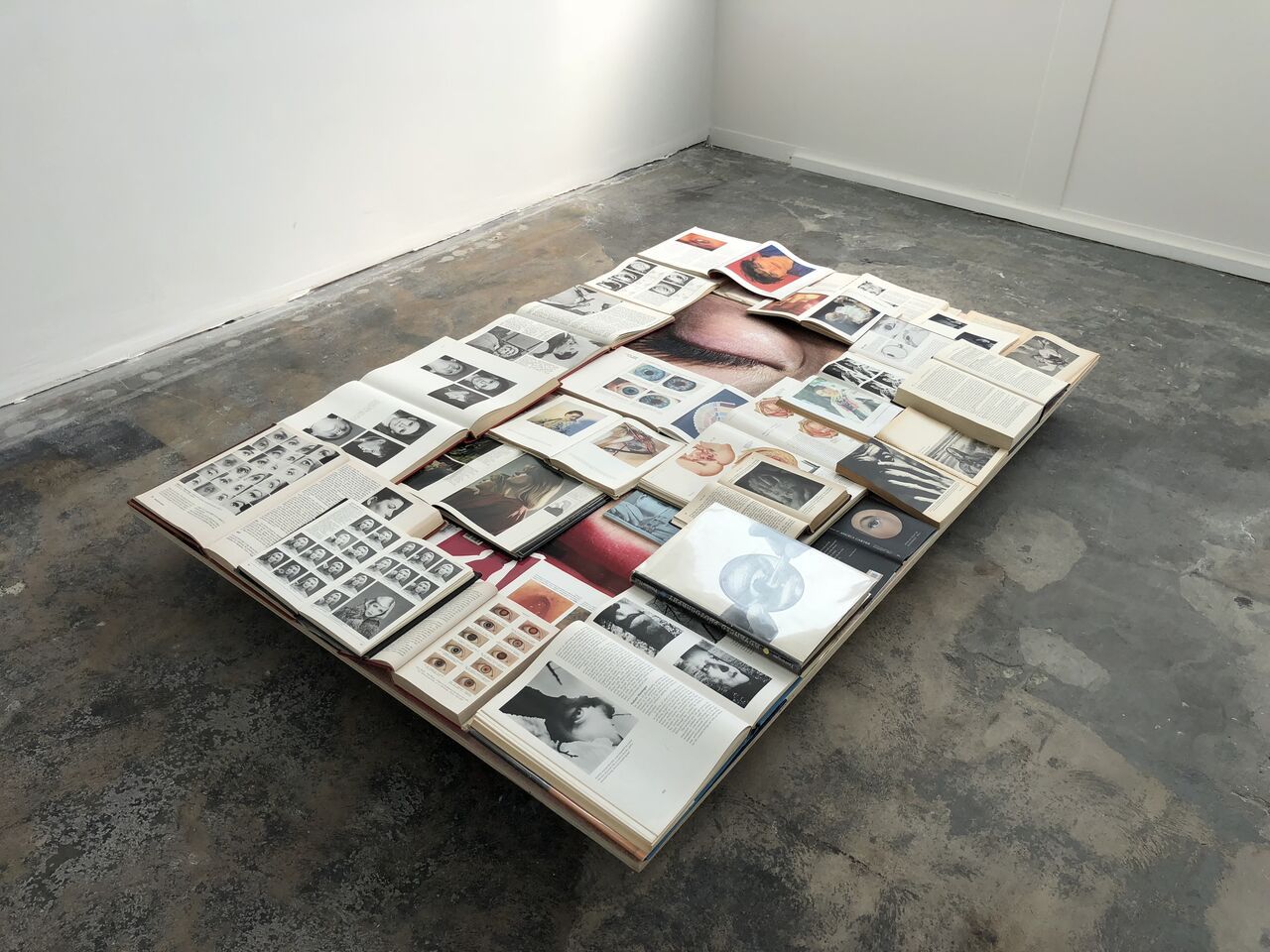 Ilona Szwarc, Some Women Can Take Their Eyes Out at AA|LA, photo 5