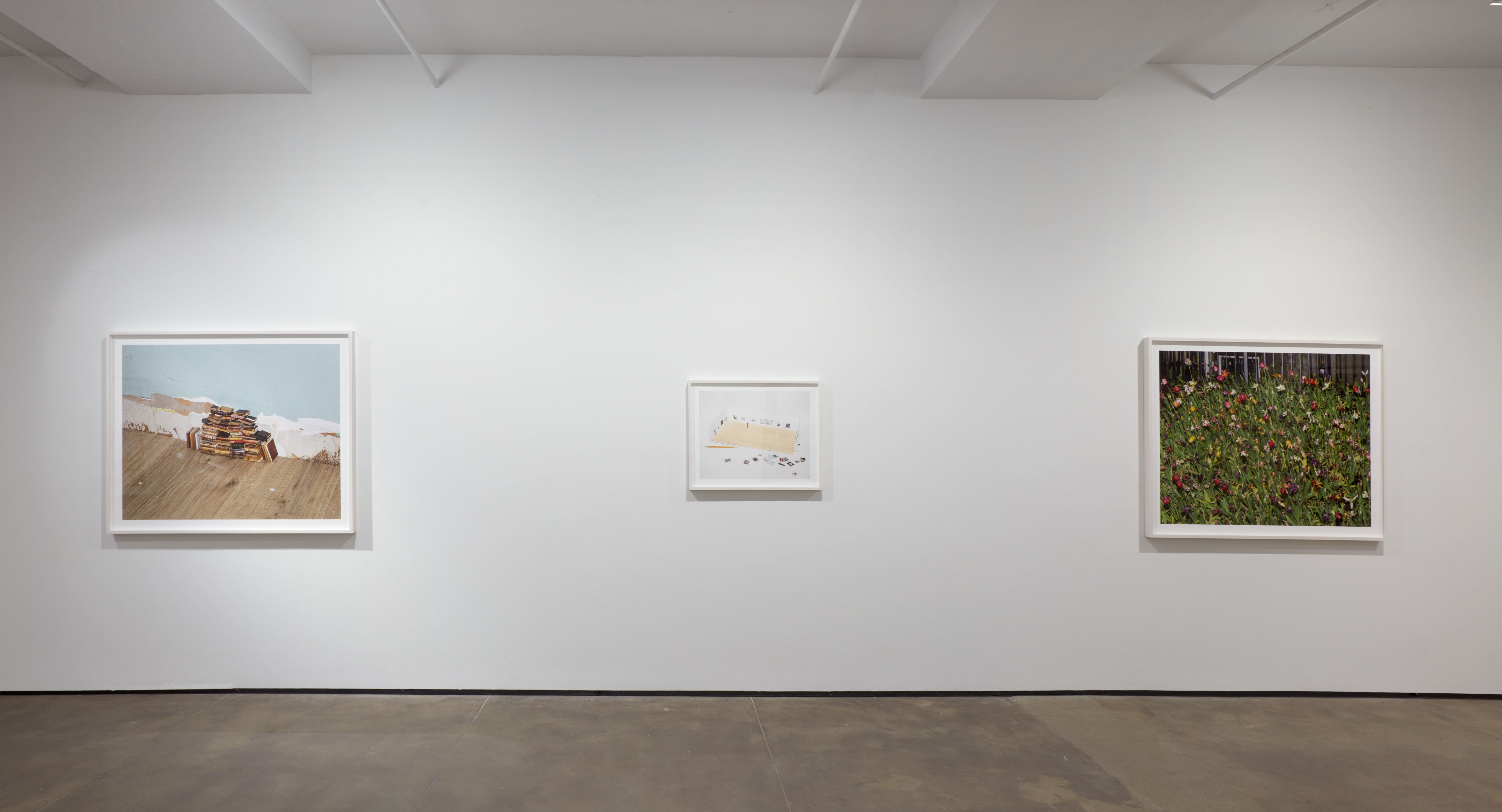 Installation view 2