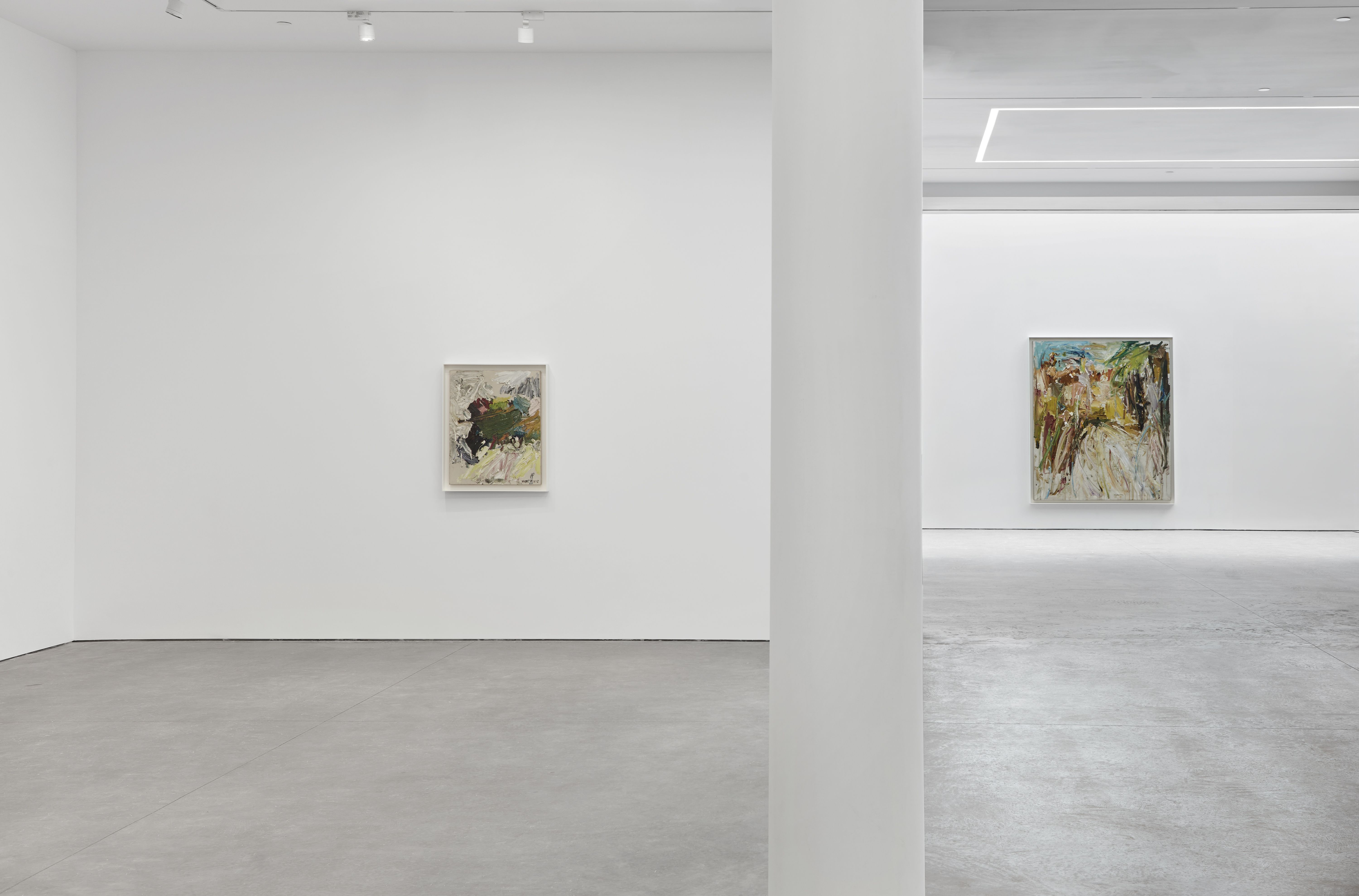 Manoucher Yektai, Landscapes at Karma, photo 7