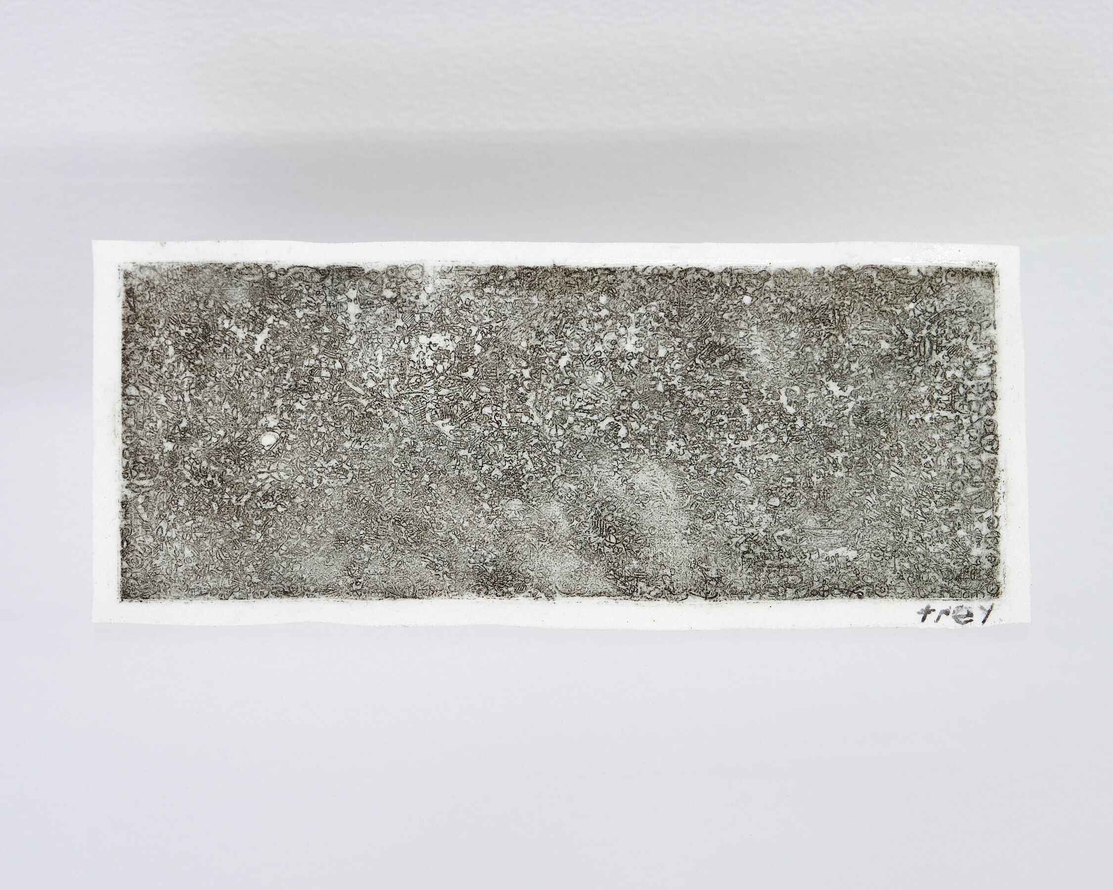 Trey Ross, Future Fossils at Long Play Contemporary, photo 4