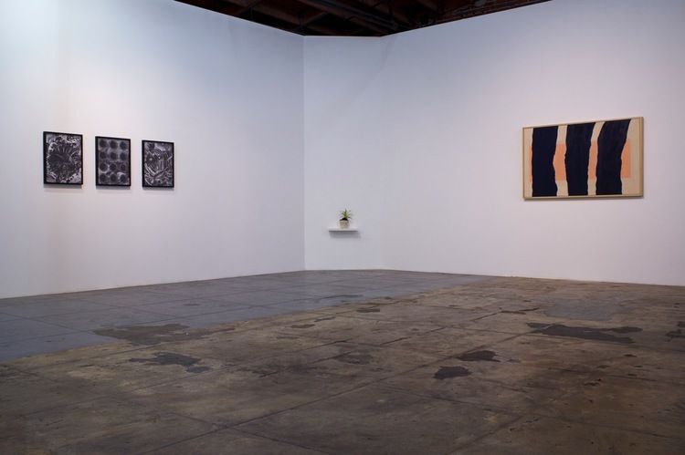 To Hide To Show, To Hide To Show at Mama Gallery, photo 4
