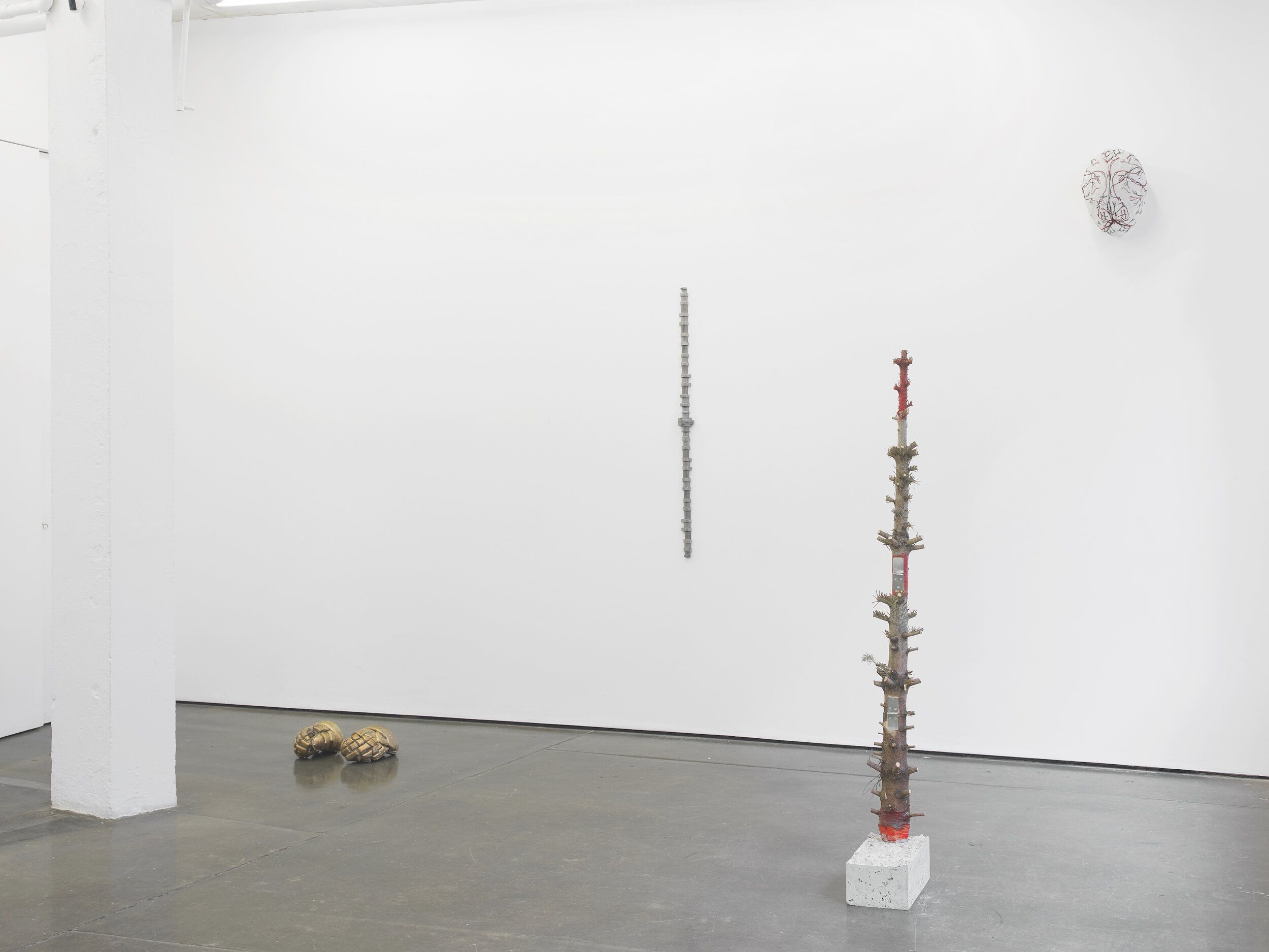 Alexandra Bircken, 2020 at Herald St, photo 3
