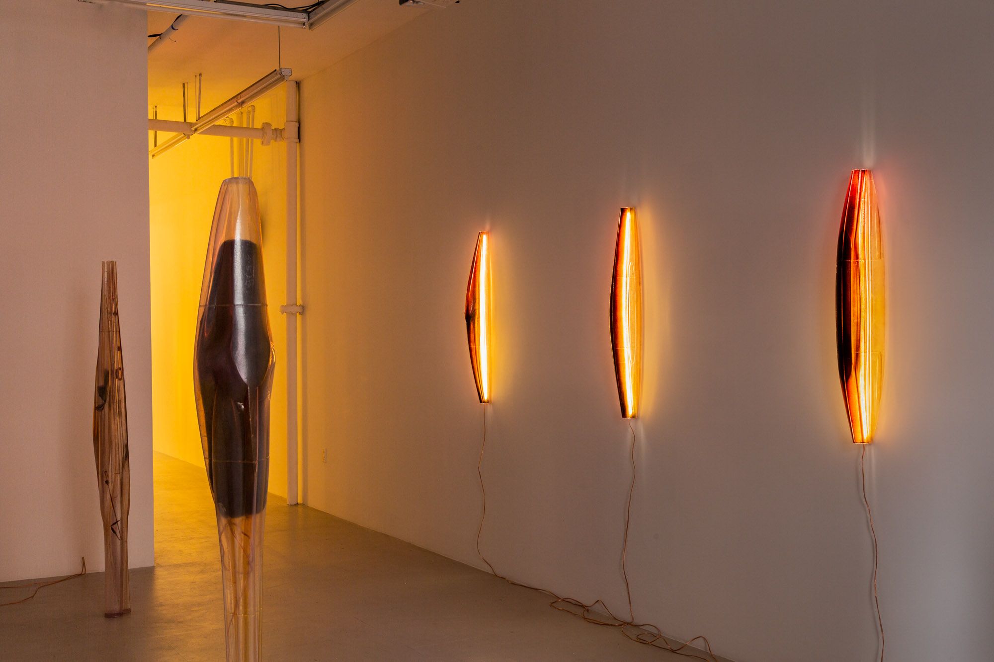 Kim Farkas, image 4 of 7