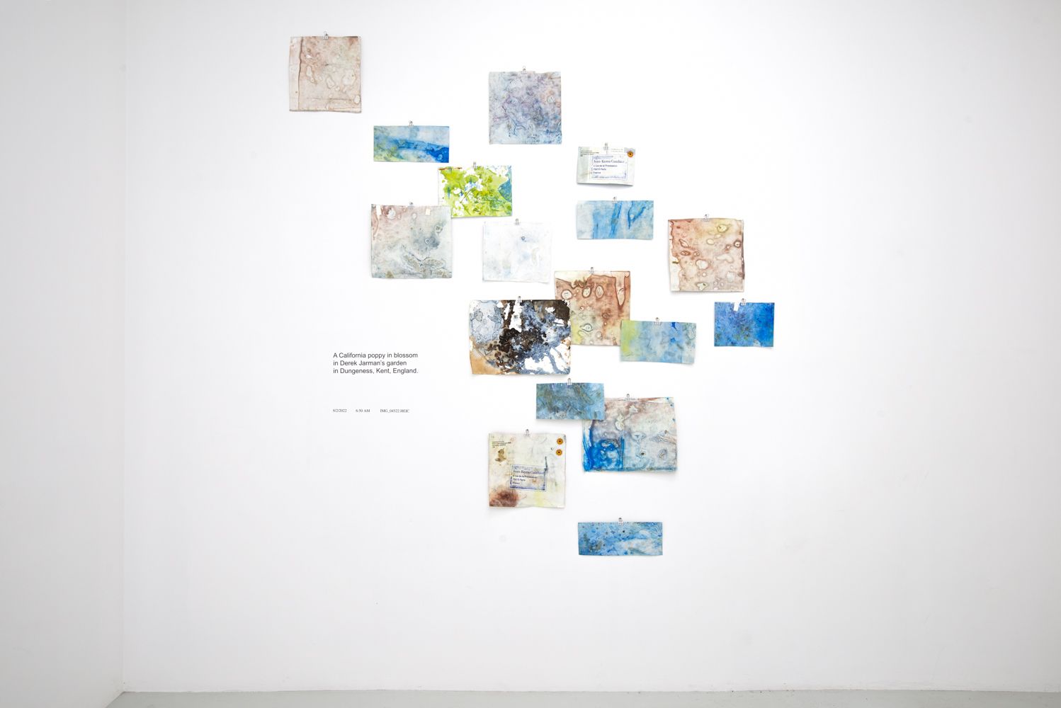 David Horvitz, Avenues All Lined With Trees at Jean-Kenta Gauthier | Vaugirard, photo 9