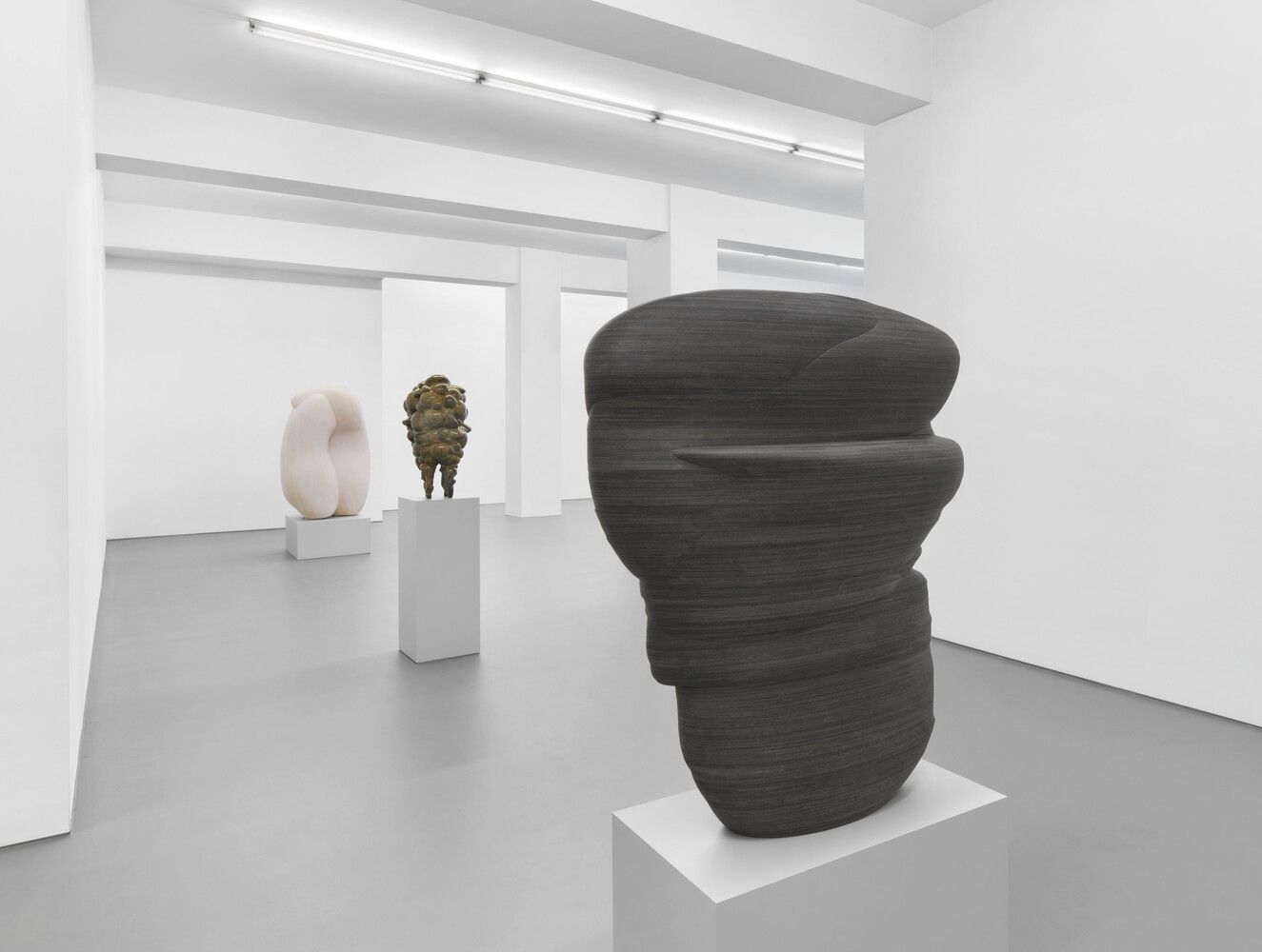 Tony Cragg, Sculptures at Buchmann Galerie, photo 2