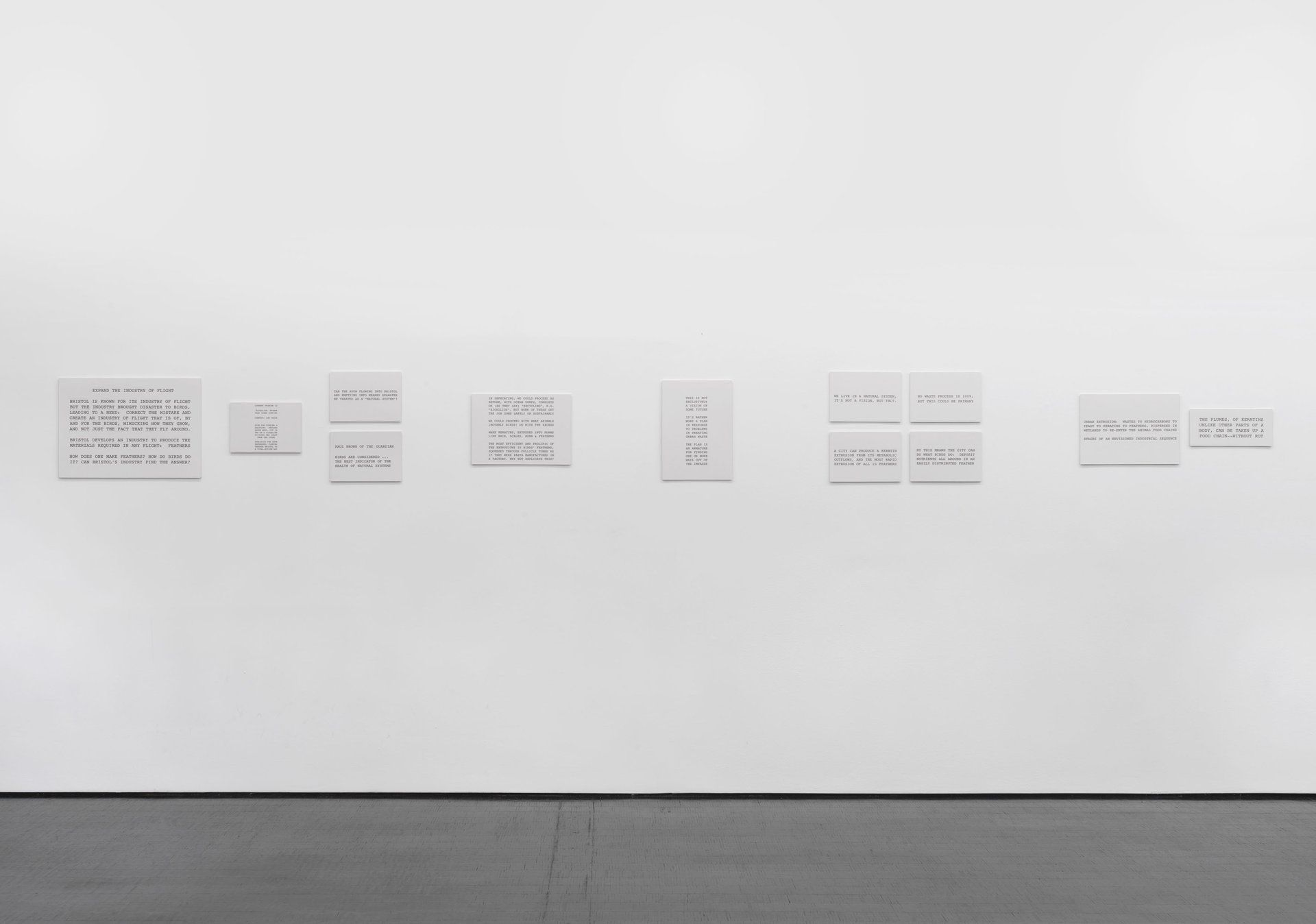 Peter Fend, Birds Reign at Barbara Weiss, photo 7