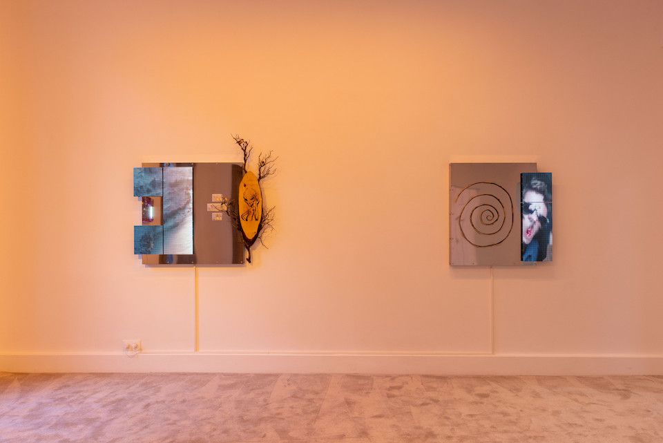 Mathis Altmann, Total Distress at Fitzpatrick Gallery, photo 4