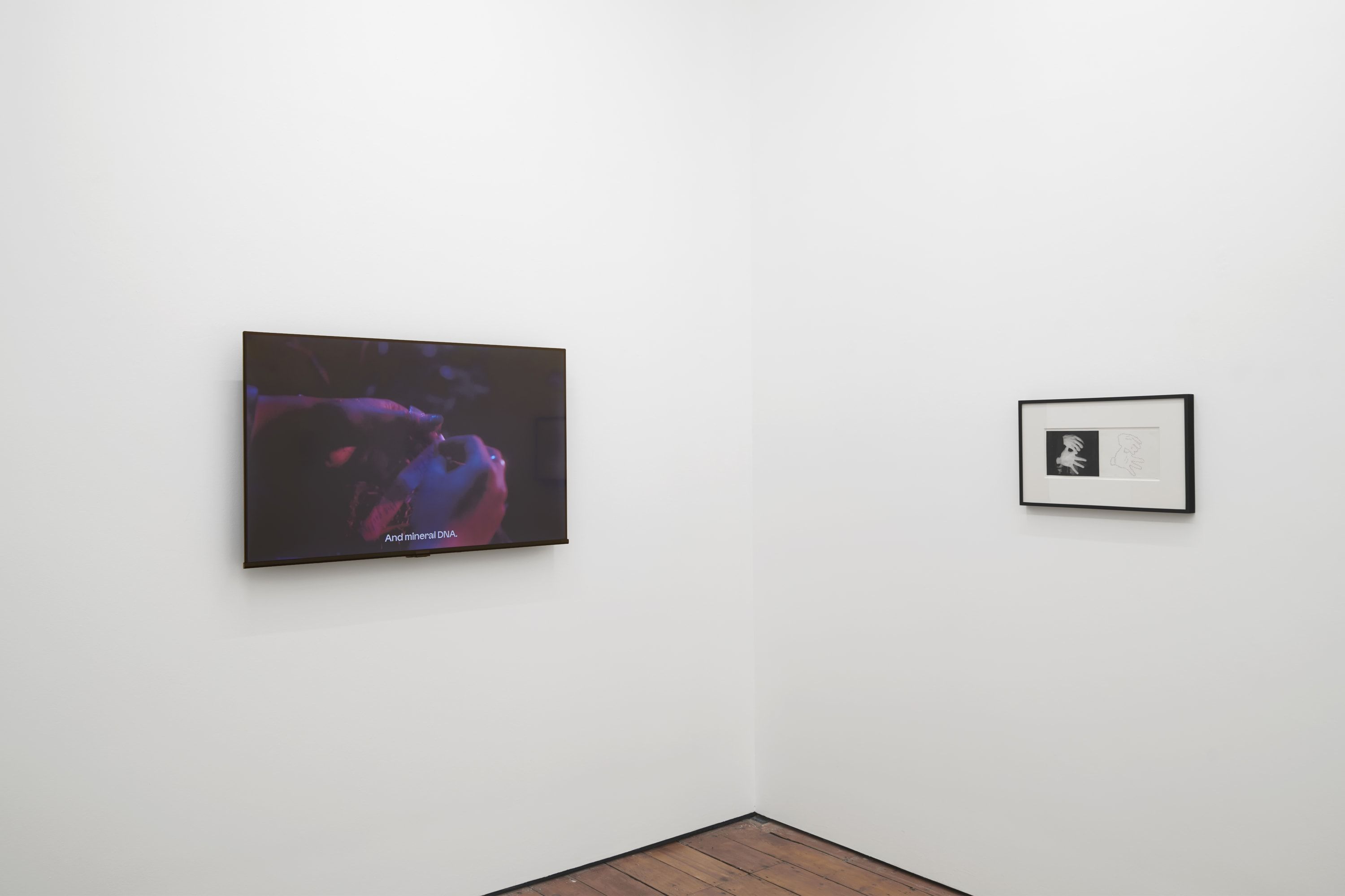 Air de Paris & Take Ninagawa, Condo London 2026 at Amanda Wilkinson, photo 5