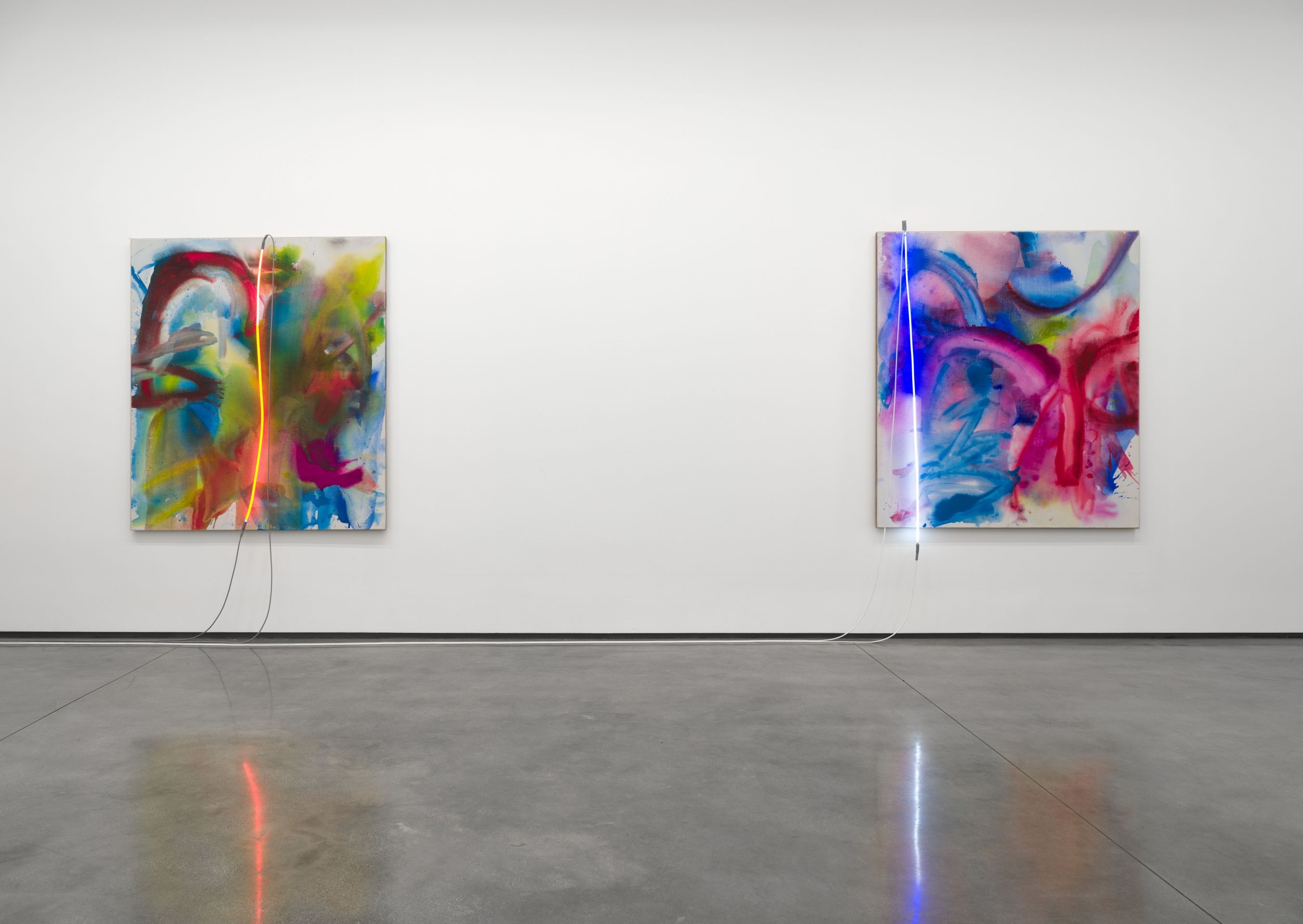 Mary Weatherford, Mountains Mud Prisms Air at David Kordansky Gallery, photo 8