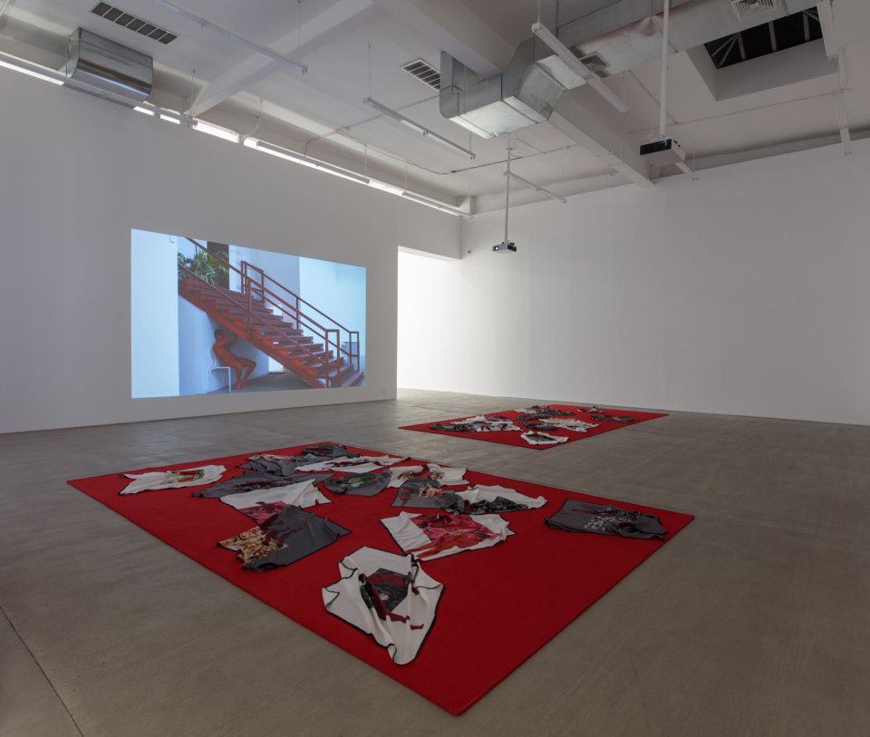 Lili Reynaud-Dewar, I Sing The Body Electric at Clearing, photo 2