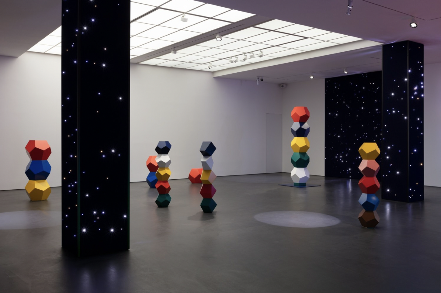 Angela Bulloch, Animal Vegetable Mineral at Esther Schipper, photo 3