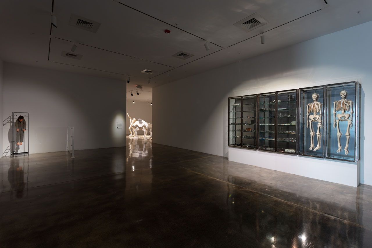 Collection Highlights, Collection Highlights at Rubell Museum, photo 3