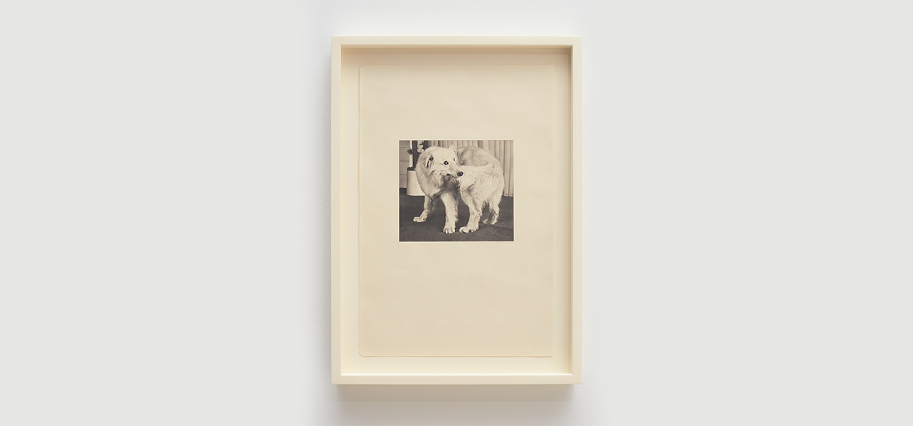 Ed Loftus, image 2 of 2