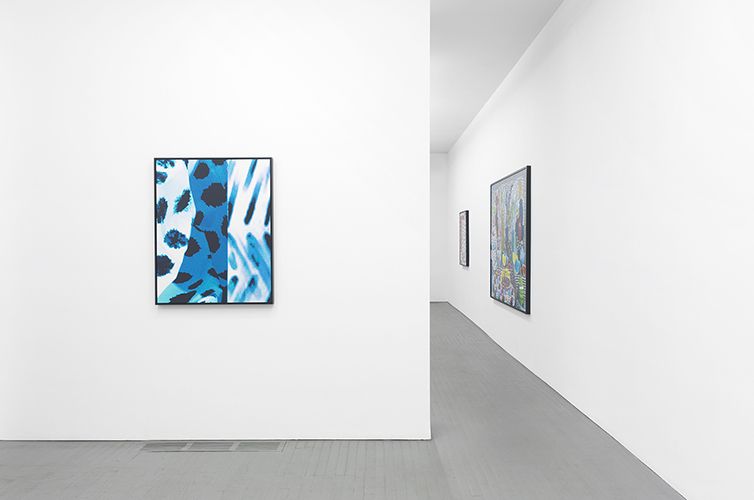 Daniel Gordon, Screen Selections and Still Lifes at Wallspace, photo 5