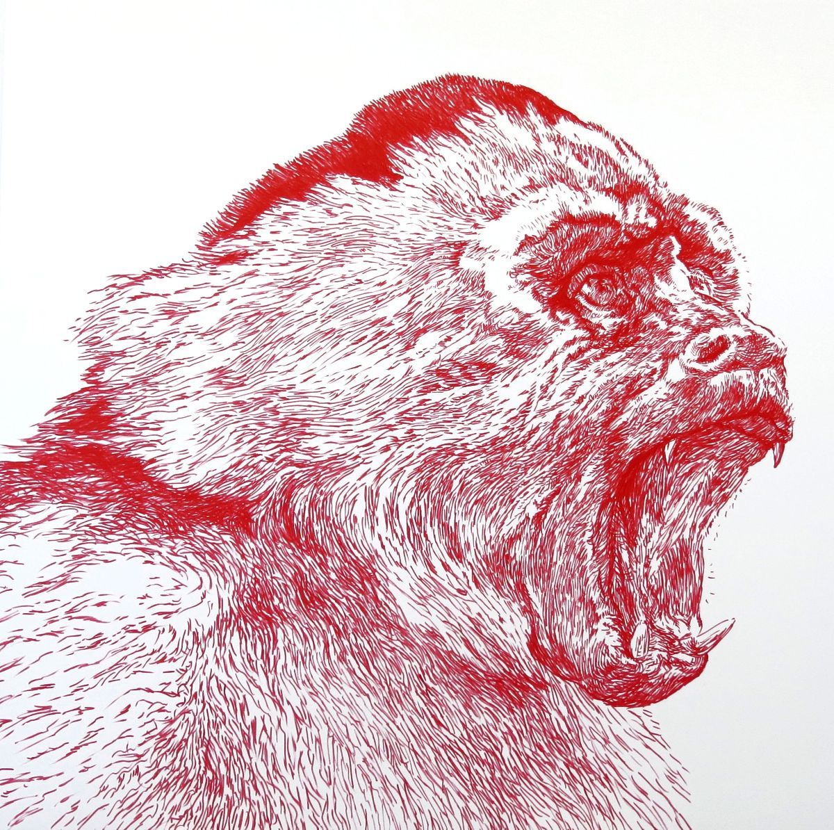 William Pérez, Torn Canvas Project at Thomas Nickles Project, photo 2