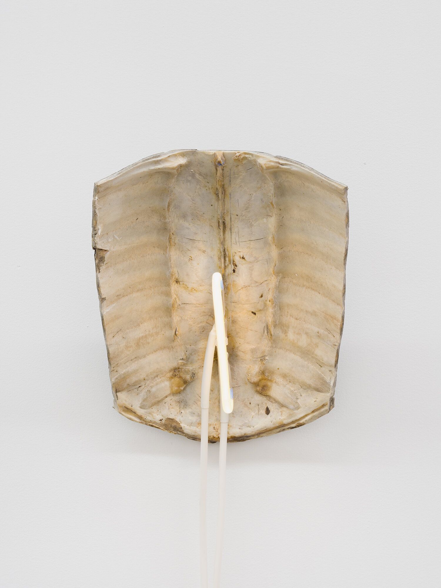 Sean Donovan, Recent Work at M 2 3, photo 3
