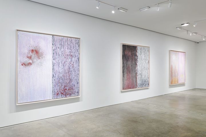 Pat Steir, Pat Steir at Pace Prints, photo 2