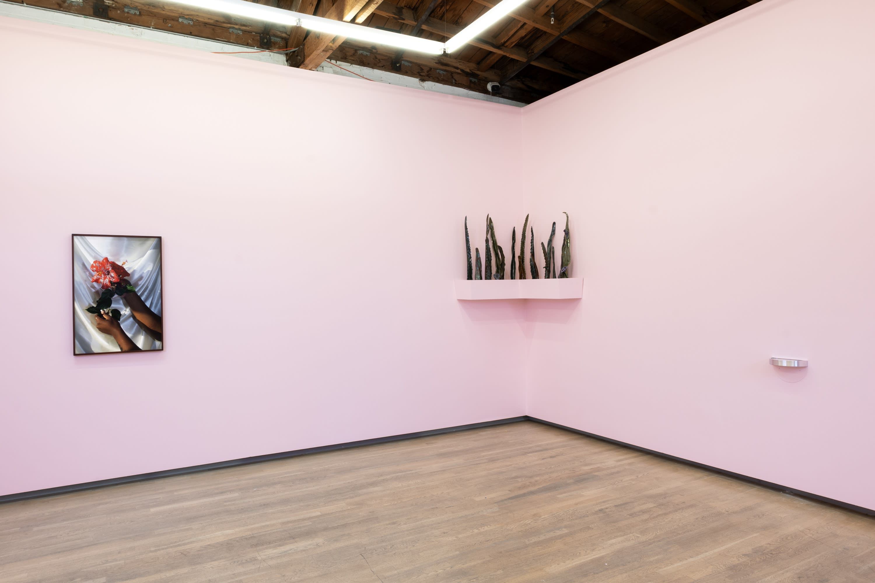 Widline Cadet, How Far Is Soon? at Nazarian / Curcio, photo 3