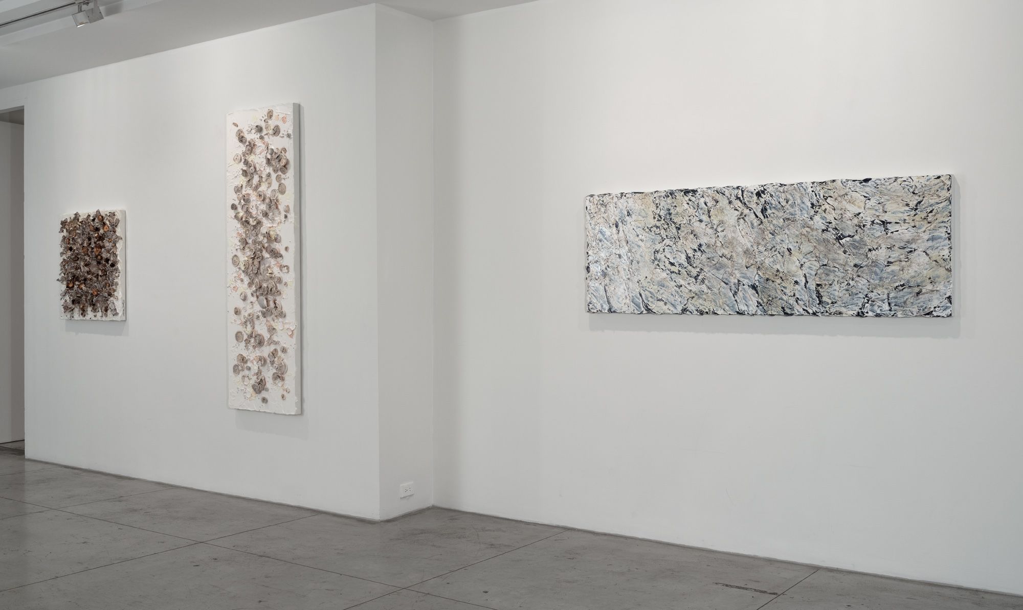 Susan Swartz, Susan Swartz at Jason McCoy Gallery, photo 3