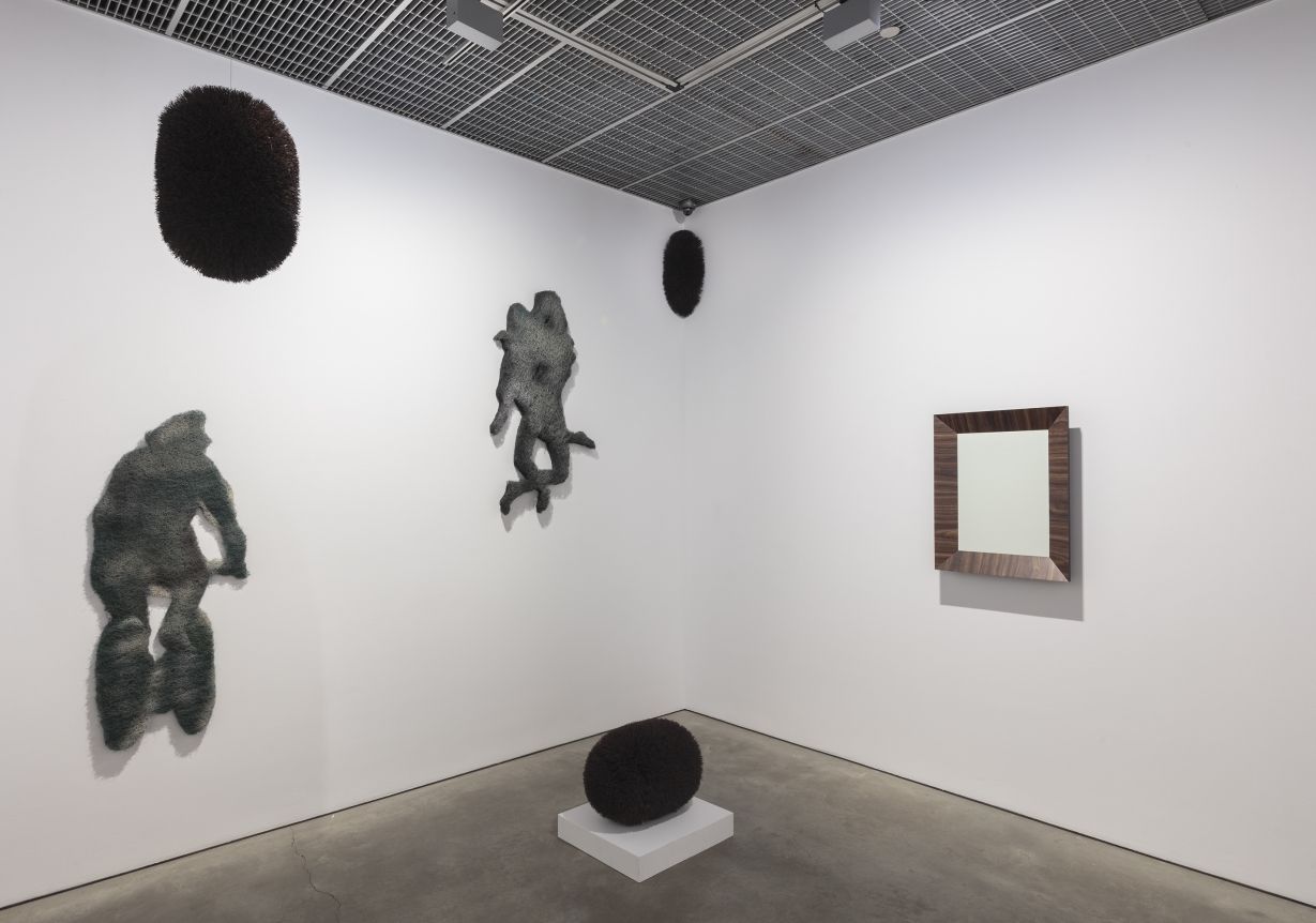 Richard Artschwager, Self-Portraits and the American Southwest at David Nolan, photo 7