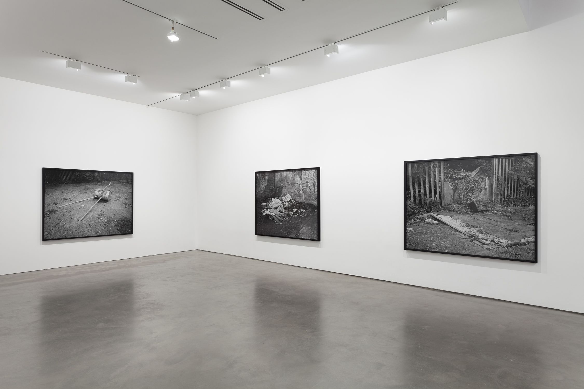 Willie Doherty, Willie Doherty at Alexander and Bonin, photo 3