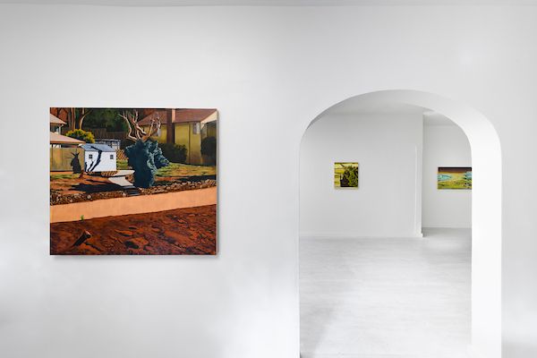 Nicole Irene Anderson, A Tangled Coexistence at Johansson Projects, photo 7