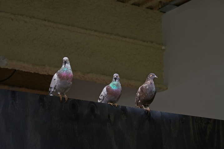 Maurizio Cattelan, Cosa Nostra at Venus Over Manhattan, photo 3