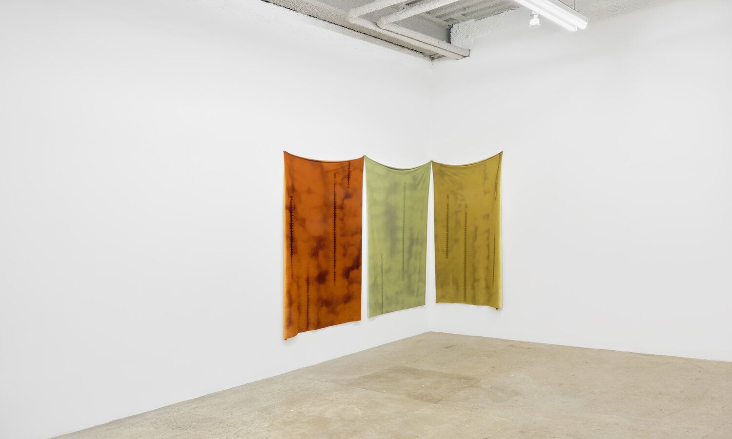 Eddy, Eddy at M 2 3, photo 18