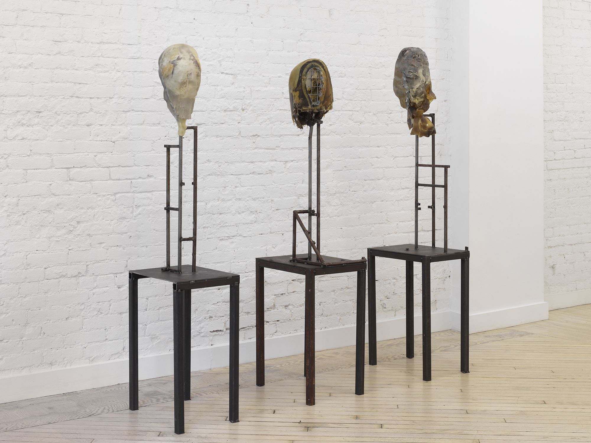 Lionel Maunz, Where the Body Ends at Bureau, photo 4
