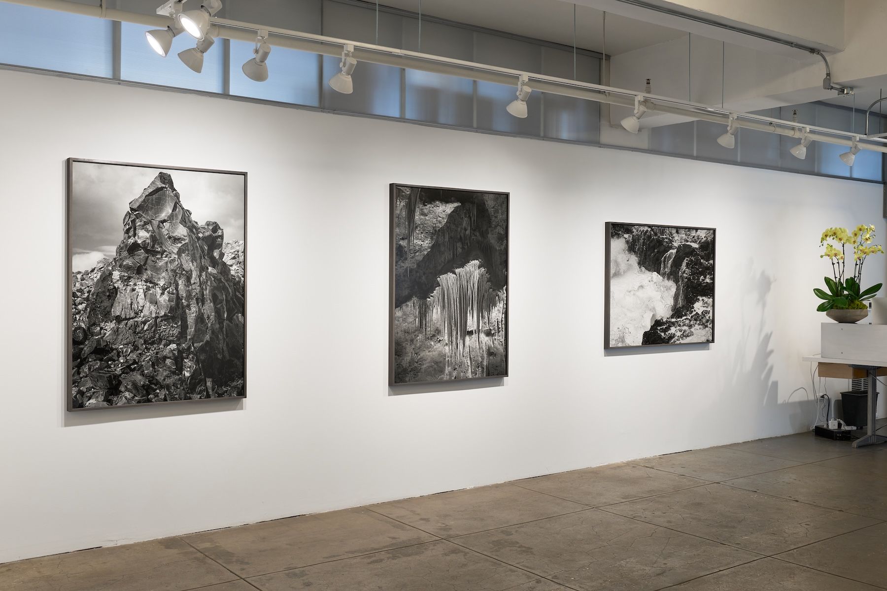 Ron Jude, Low Tide at Gallery Luisotti, photo 13