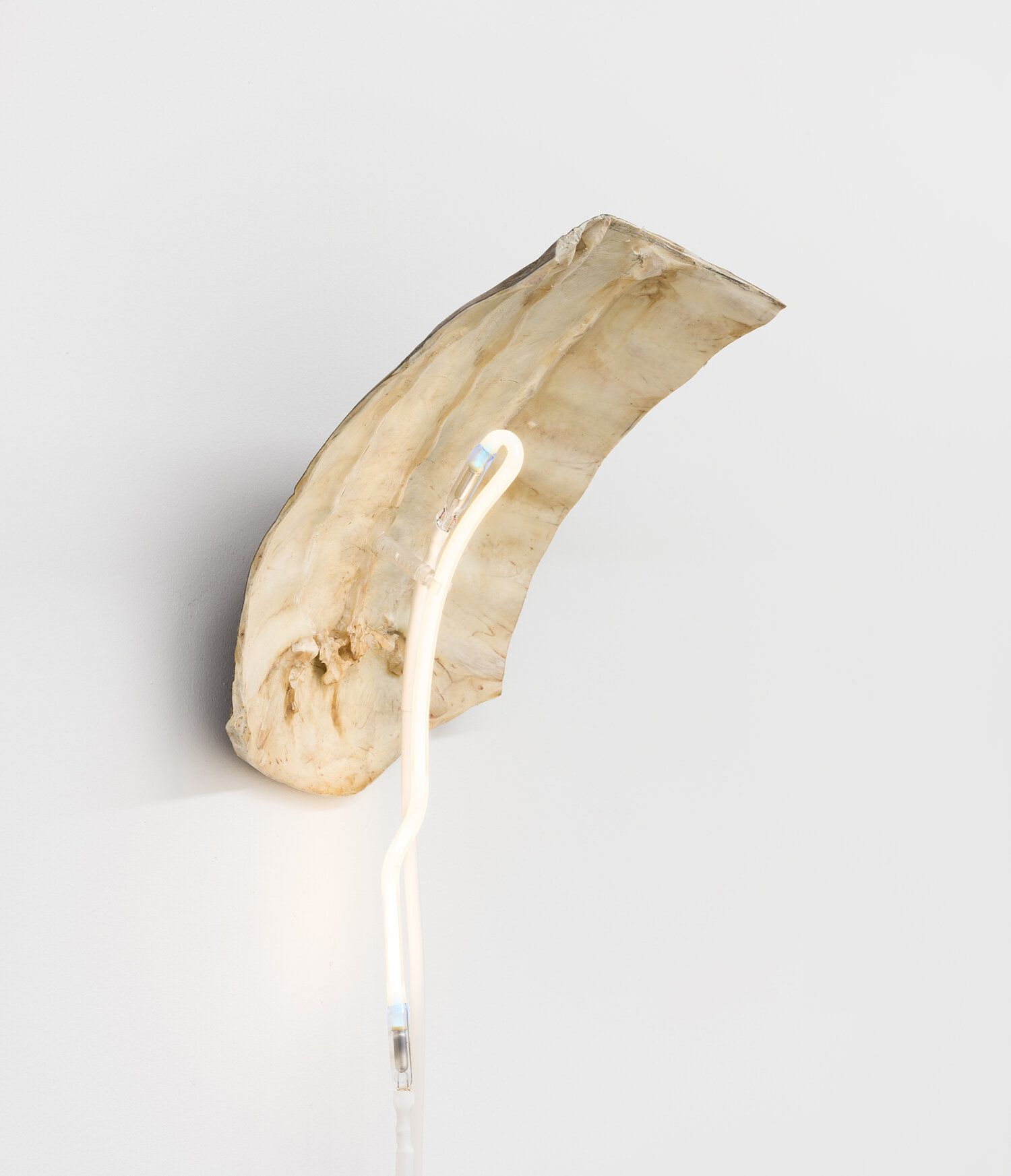 Sean Donovan, Recent Work at M 2 3, photo 8
