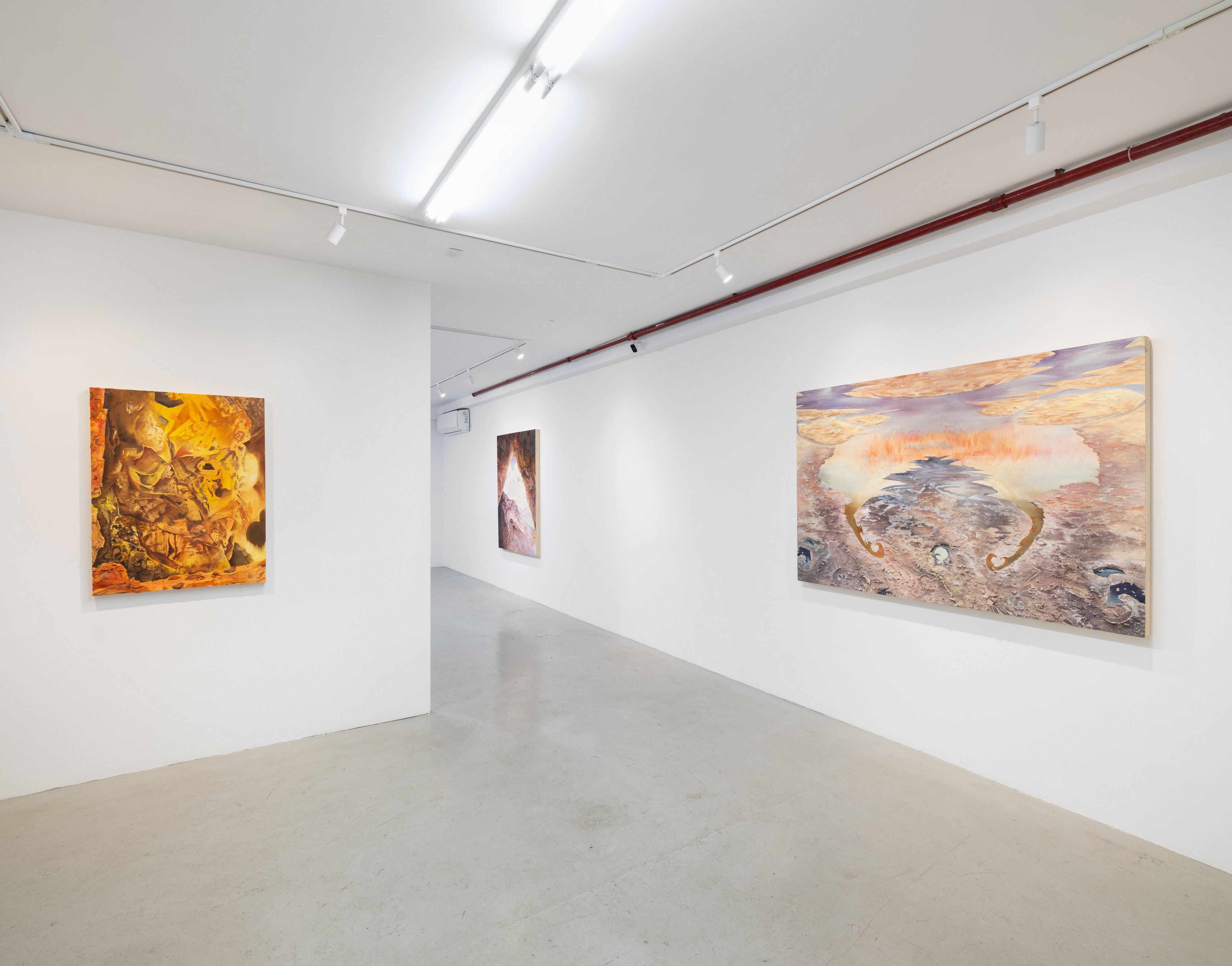 Eleanor Mahin Thorp, Bend of the Southern Cross at Plato, photo 11