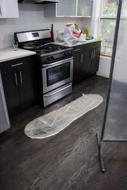 Rochelle Goldberg, Win McCarthy, Jared Madere, Honey That Isn't Real at Bed-Stuy Love Affair, photo 7