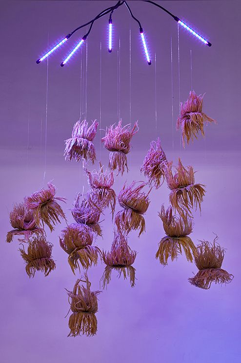 Mégane Brauer, Mordre et Tenir, Chapitre 3 at Air de Paris, photo 2