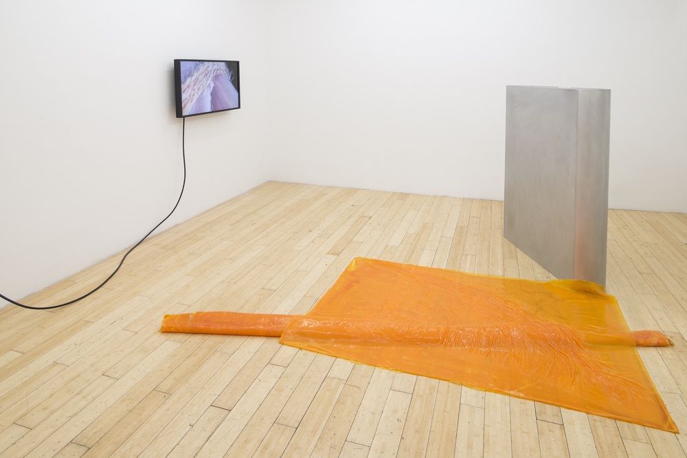 David J. Merritt, Flesh of My Flesh at Kansas Gallery, photo 4