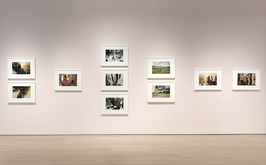 Tina Barney, The Beginning at Kasmin, photo 2
