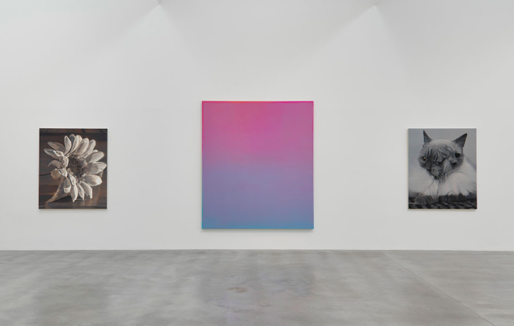True Colours, True Colours at Newport Street Gallery, photo 3