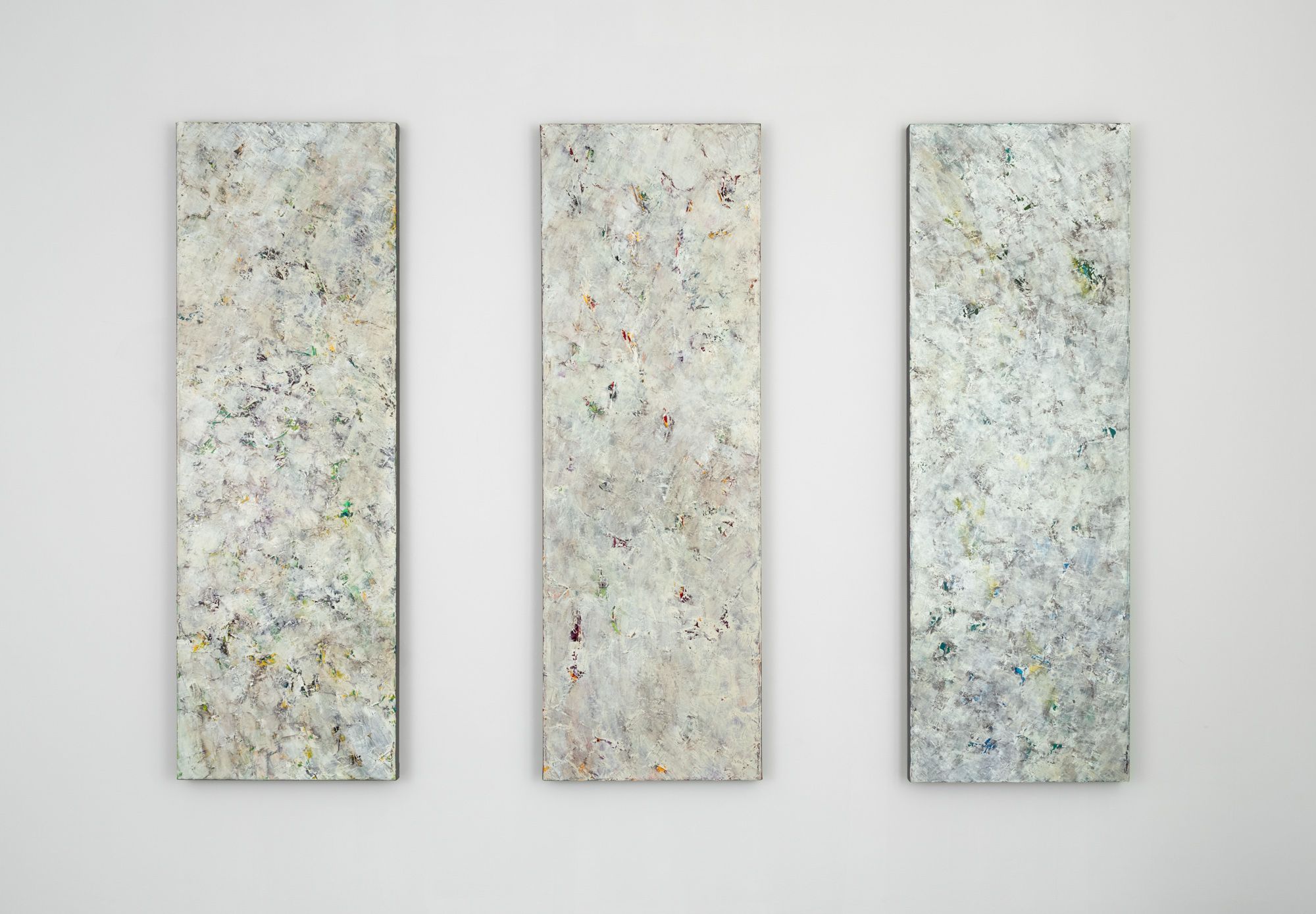 Susan Swartz, Susan Swartz at Jason McCoy Gallery, photo 6