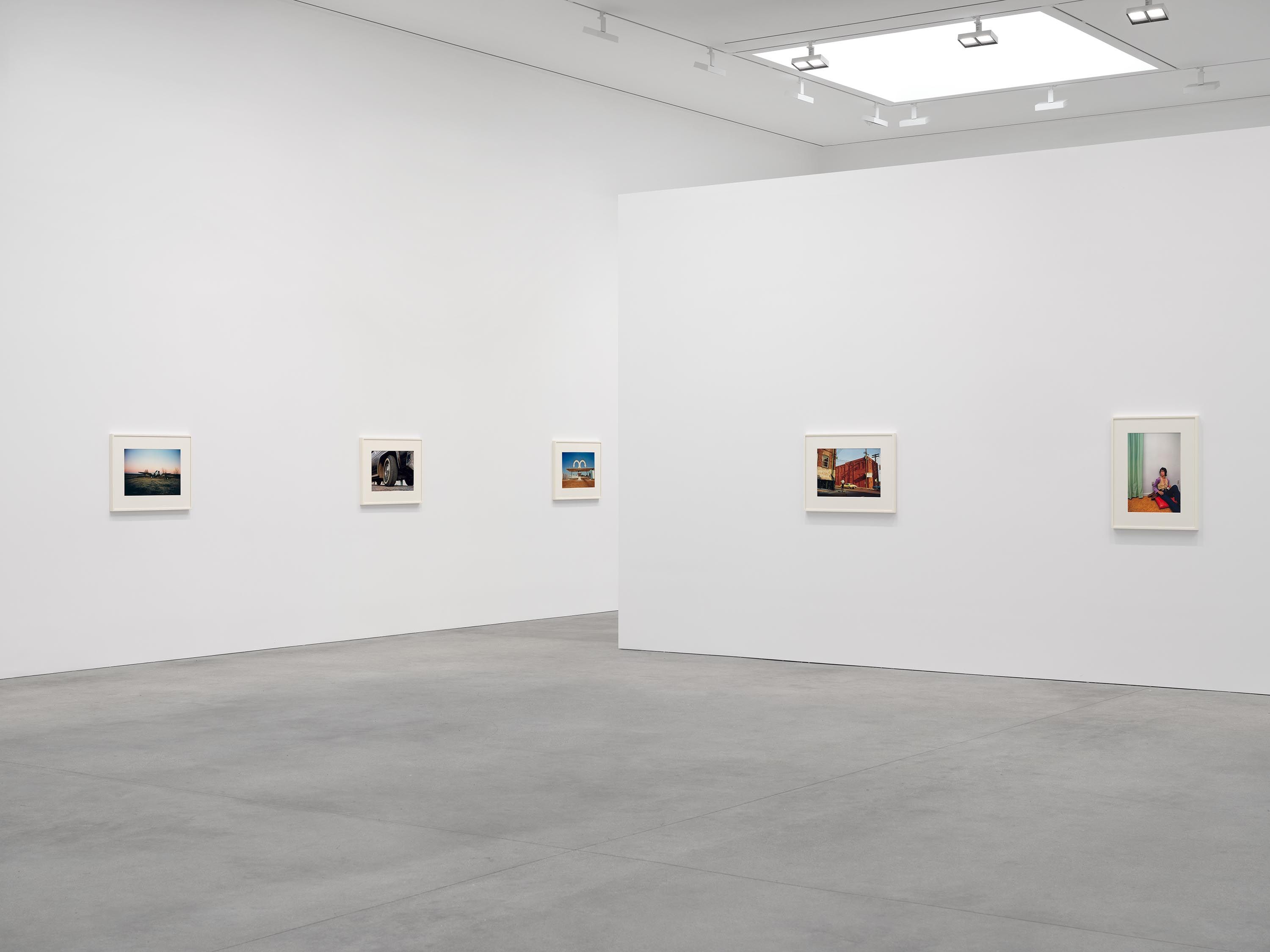 William Eggleston, The Last Dyes at David Zwirner, photo 4