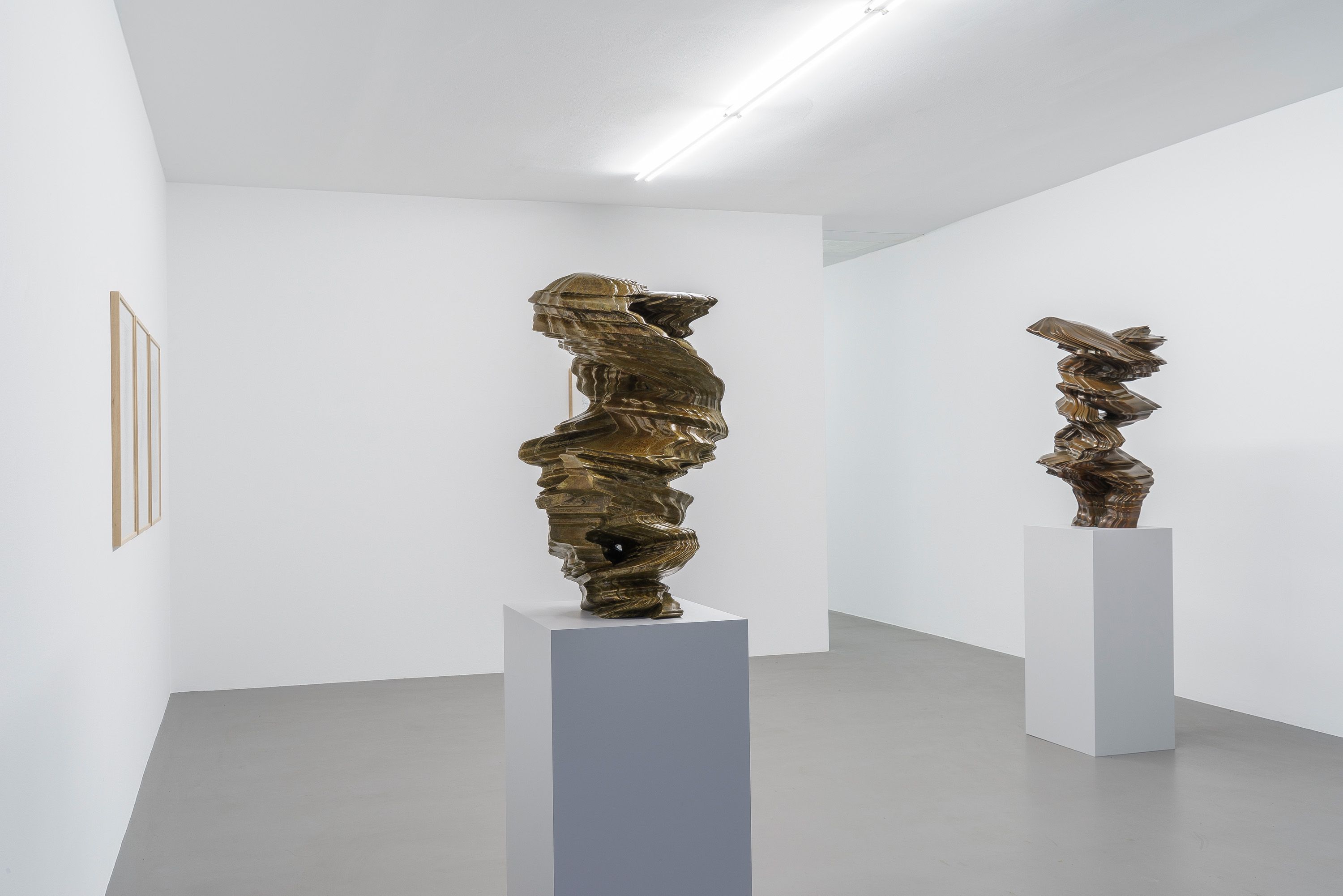 Tony Cragg, Tony Cragg at Buchmann Galerie, photo 3
