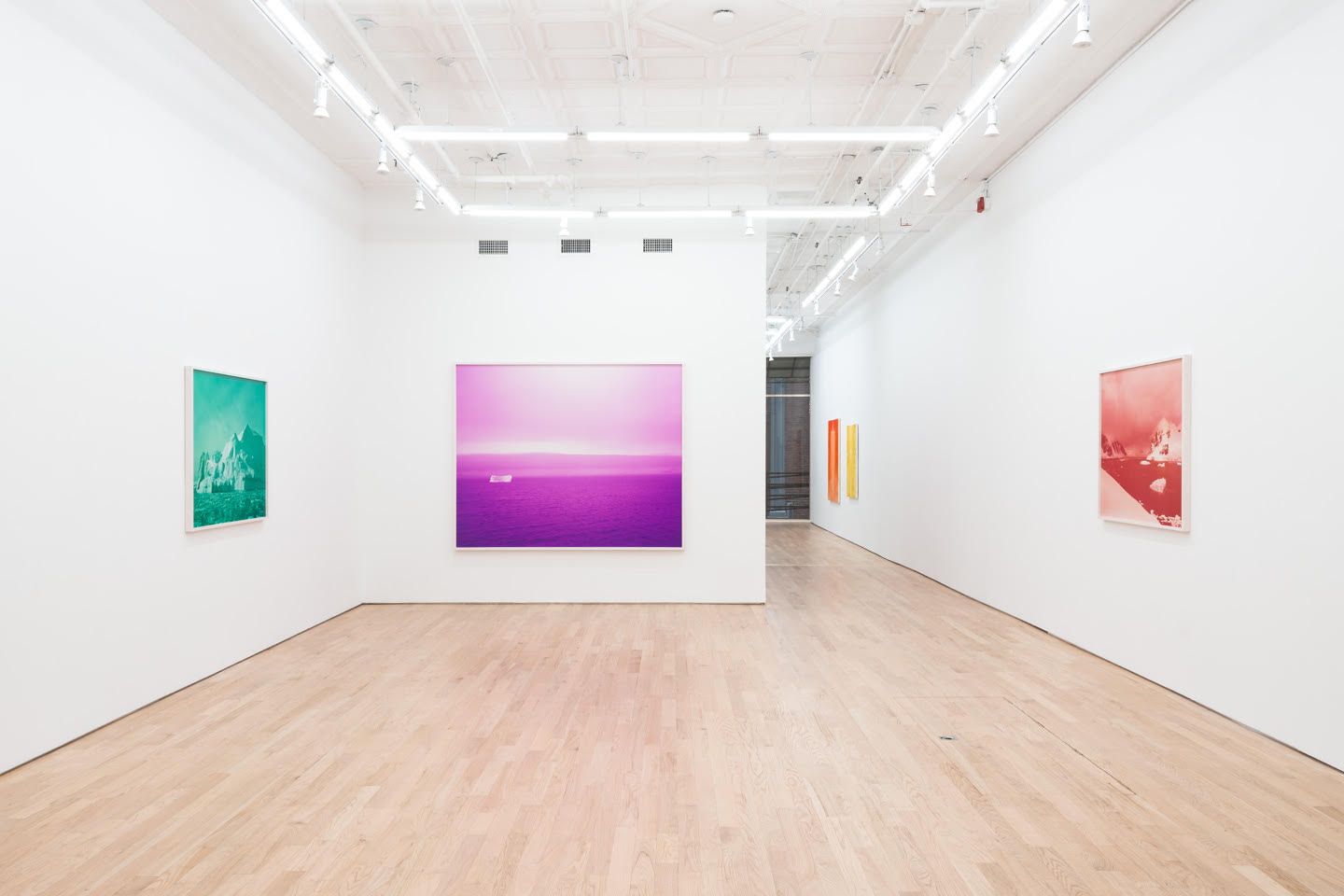 David Benjamin Sherry, Blue Ablation at Nicelle Beauchene, photo 3