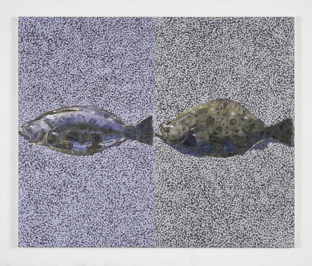 Adam Higgins, Flatfish at Hunter Shaw Fine Art, photo 12