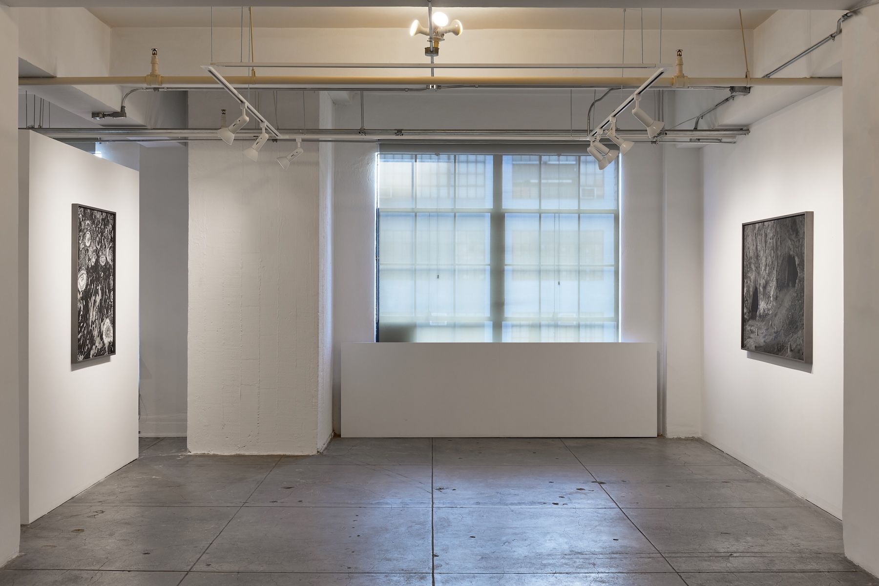 Ron Jude, Low Tide at Gallery Luisotti, photo 14