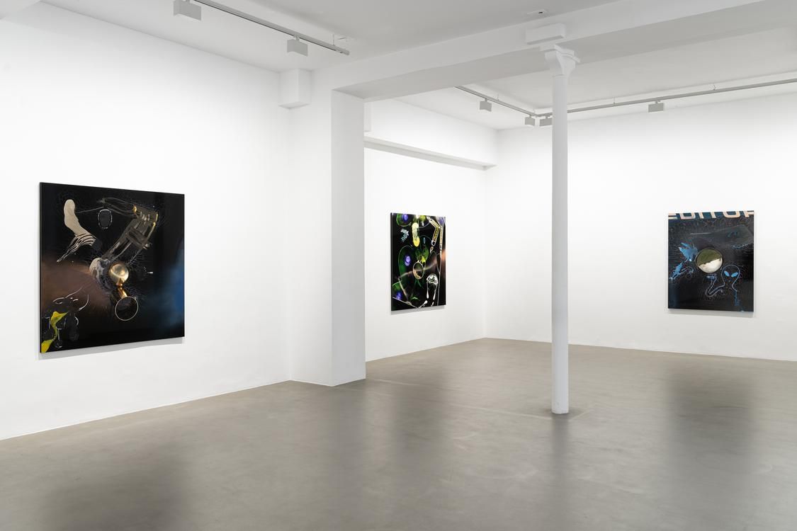 Seth Price, Free Fall at Chantal Crousel, photo 5