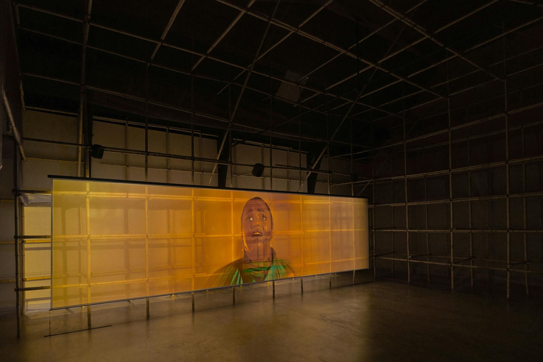 Lap-See Lam, Floating Sea Palace at Studio Voltaire, photo 2