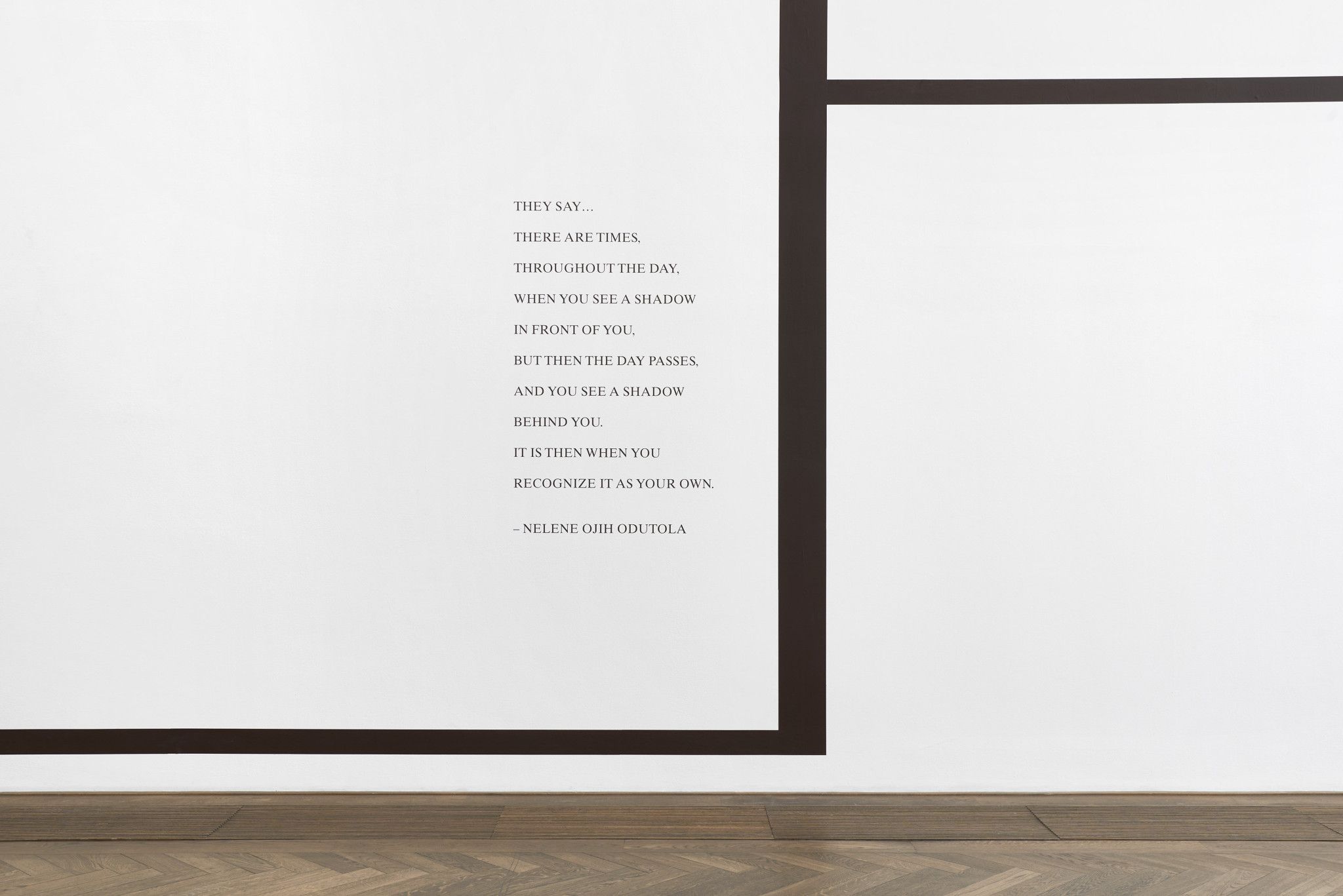 Toyin Ojih Odutola, Ilé Oriaku at Kunsthalle Basel, photo 3